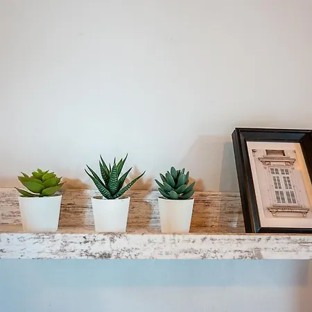 Apartamento San Luigi 2.0 *